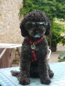 945840_418348071596234_1790947811_n